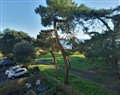 The Pines - Dorset