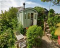 The Shepherd Hut - Dyfed
