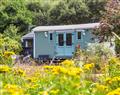The Shepherd's Hut in Aberdovey - Mid Wales & Cardigan Bay