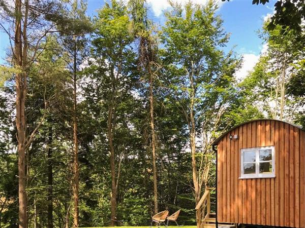 The Shepherds Hut at Rosewood House in Cornwall