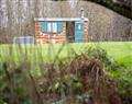The Shire Villager Glamping - The Shire in Dyfed