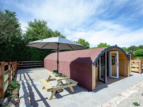 The Smithy Glamping Pod 2 Ref UK37433 In Newton Abbot Pet 