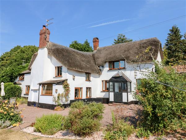 The Thatched Cottage in Devon