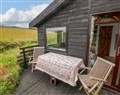 The Tree House - Dyfed