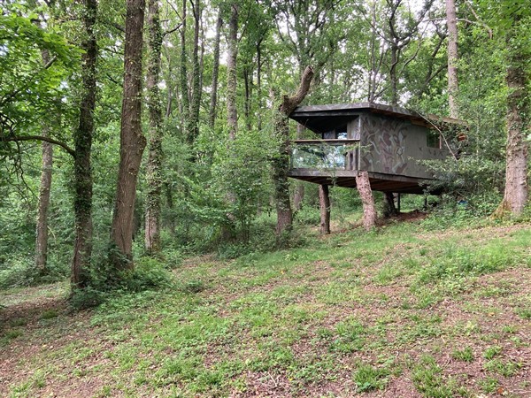 The Tree House in the Woods in Gloucestershire