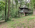 The Tree House in the Woods - Gloucestershire