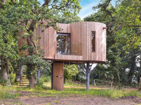 The Treehouse @ Caerlaverock in Dumfriesshire