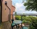 The Treehouse - Clwyd