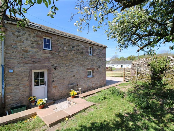 Thimbleberry in Cumbria