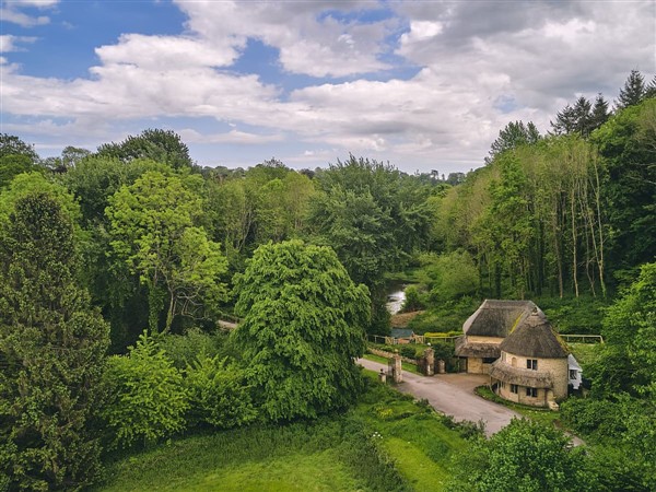 Thistle House in Dorset