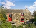 Enjoy a glass of wine at Thrift Cottage; Dyfed