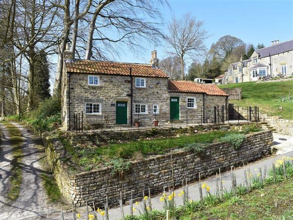 Tiggywinkle Cottage in Hawnby, near Helmsley, Yorkshire, North Yorkshire
