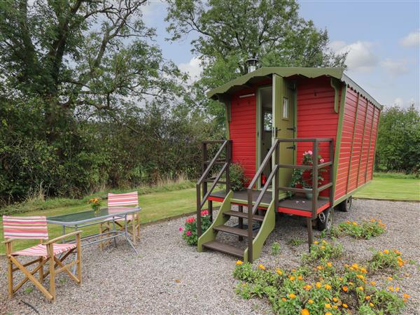Tilly Gypsy-style Caravan Hut in Llangorse, Powys