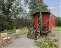 Tilly Gypsy-style Caravan Hut in  - Llangorse