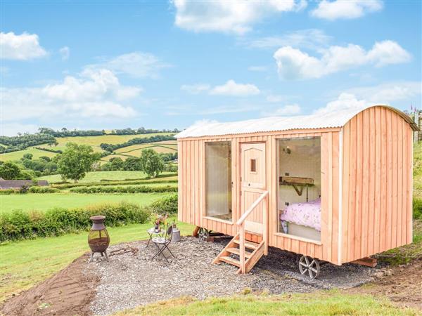 Top of the Rock Glamping - The Shearers Hut in Powys