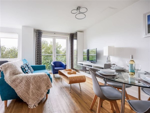 Tree Canopy in Dorset