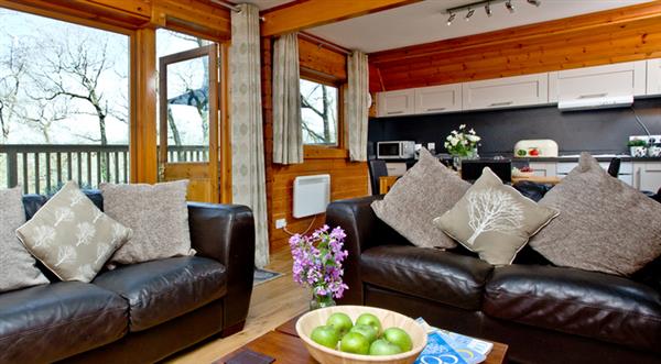 Tree Tops in Finlake Lodges, Chudleigh - Devon