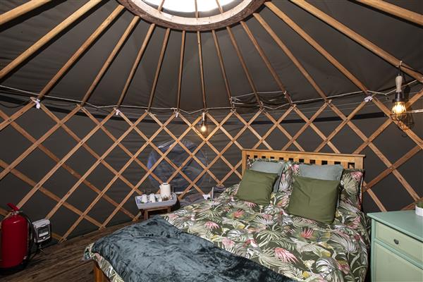 Treehouse Yurt - Powys