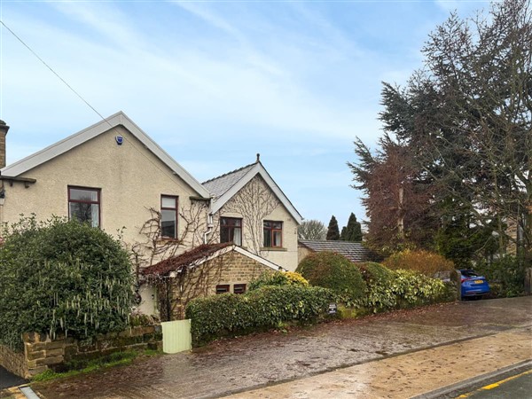 Treetops in West Yorkshire