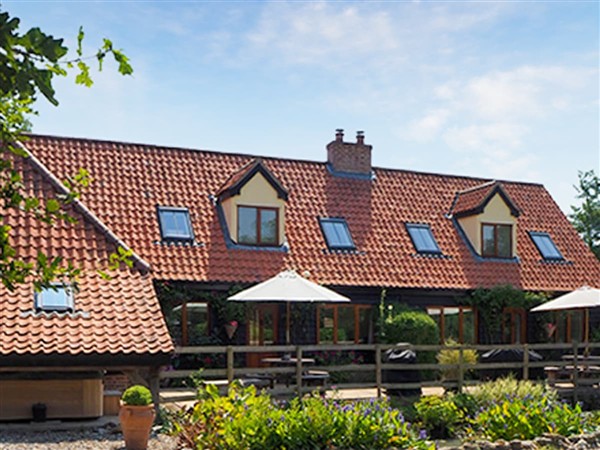 Treetops in Suffolk