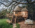 Enjoy your time in a Hot Tub at Trewalter Treehouse; Powys