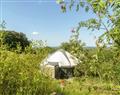 Troed Rhiw Goch Yurts - Gorse Yurt in Lampeter, Ceredigion - Dyfed