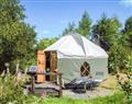 Relax at Troed Rhiw Goch Yurts - Rowan Yurt; Dyfed