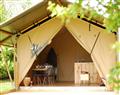 Enjoy a leisurely break at Twiga at Kaya Lodge; ; Stonham Aspall
