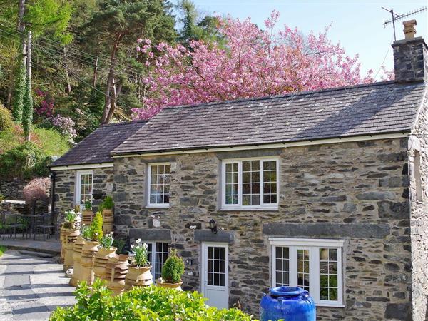 Tyn Y Fron Cottage (Ref : UK6205) In Betws-y-Coed, Near Conwy Pet ...