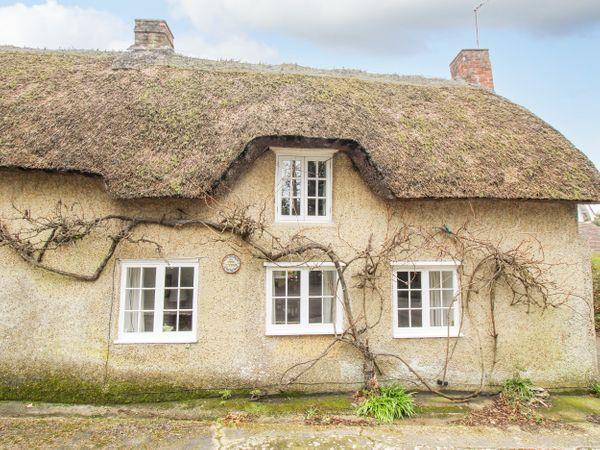 Vine Cottage in Dorset