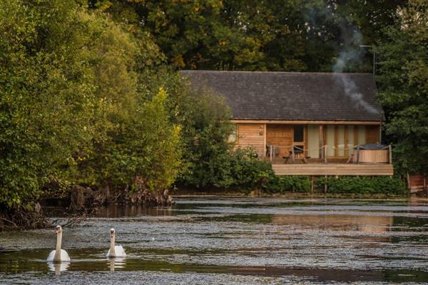 Water Lily Lodge in Colchester, Essex
