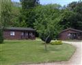 Take things easy at Wayside Lodges - Oak Lodge; Wiltshire