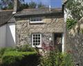 Enjoy a glass of wine at White Duck Cottage; ; Hayle