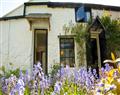 Enjoy a glass of wine at Willow Cottage; Hayle; West Cornwall