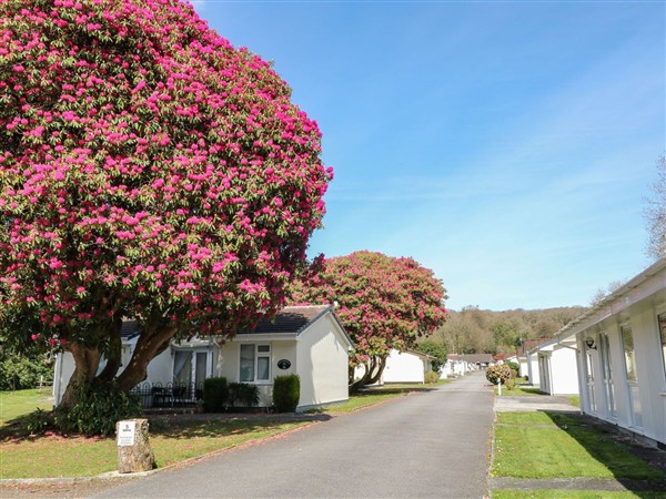 Willow Lodge - Cornwall