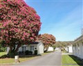 Willow Lodge in  - Rosecraddoc Lodge near Liskeard