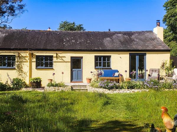 Willow Tit Cottage in Dyfed