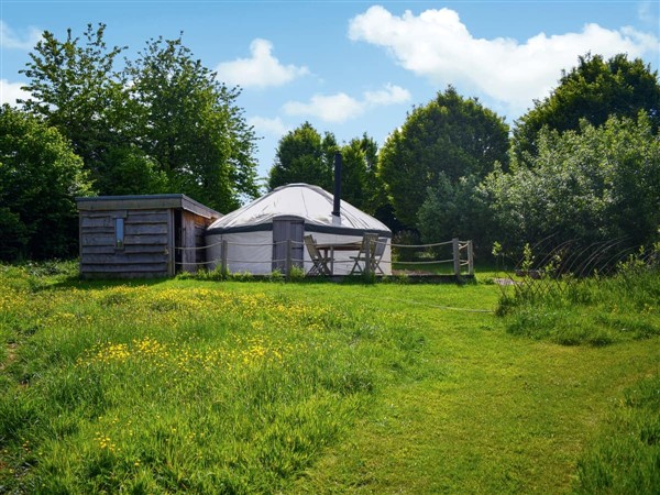 Willow Yurt in Dorset