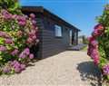 Wisteria Lodge - Cornwall