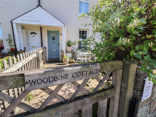 Woodbine Cottage in Sandsend