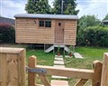 Woodie - Shropshire