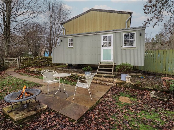 Woodland in Northumberland