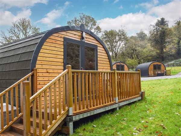 Woodland Pod in West Glamorgan