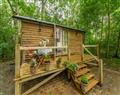 Woodland Retreat Shepherd’s Hut in Brundish - Suffolk