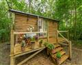 Woodland Retreat Shepherd's Hut in Brundish - Suffolk