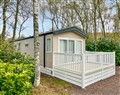 Relax at Woodland Serenity; Aberdeenshire
