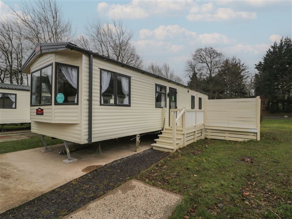 Woodlands Gold (WO 41), 