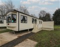 Woodlands Gold (WO 41) - Denbighshire