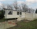 Woodlands Gold (WO40) - Denbighshire