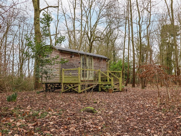 Woodlands Retreat Shepherd's Hut in Brundish near Laxfield, Suffolk